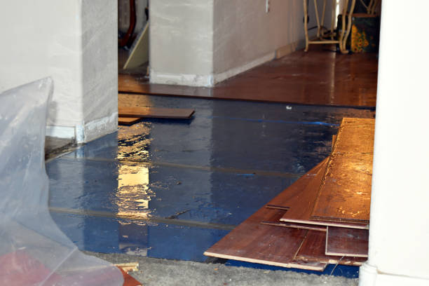 Professional Sewage Cleanup technician working in Yorktown, IN